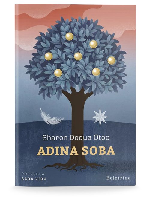 Naslovnica knjige Adina soba avtorice Sharon Dodua Otoo