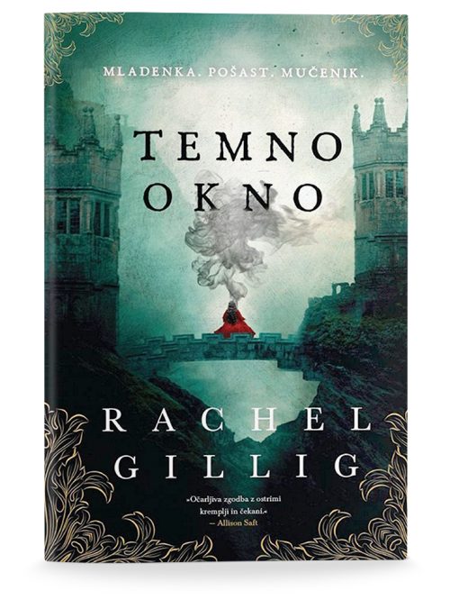 Naslovnica knjige Temno okno avtorice Rachel Gillig