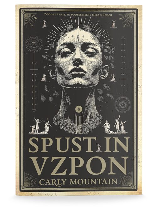 Naslovnica knjige Spust in vzpon avtorice Carly Mountain