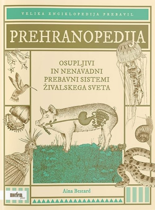 Naslovnica knjige Prehranopedija avtorice Aine Bestard