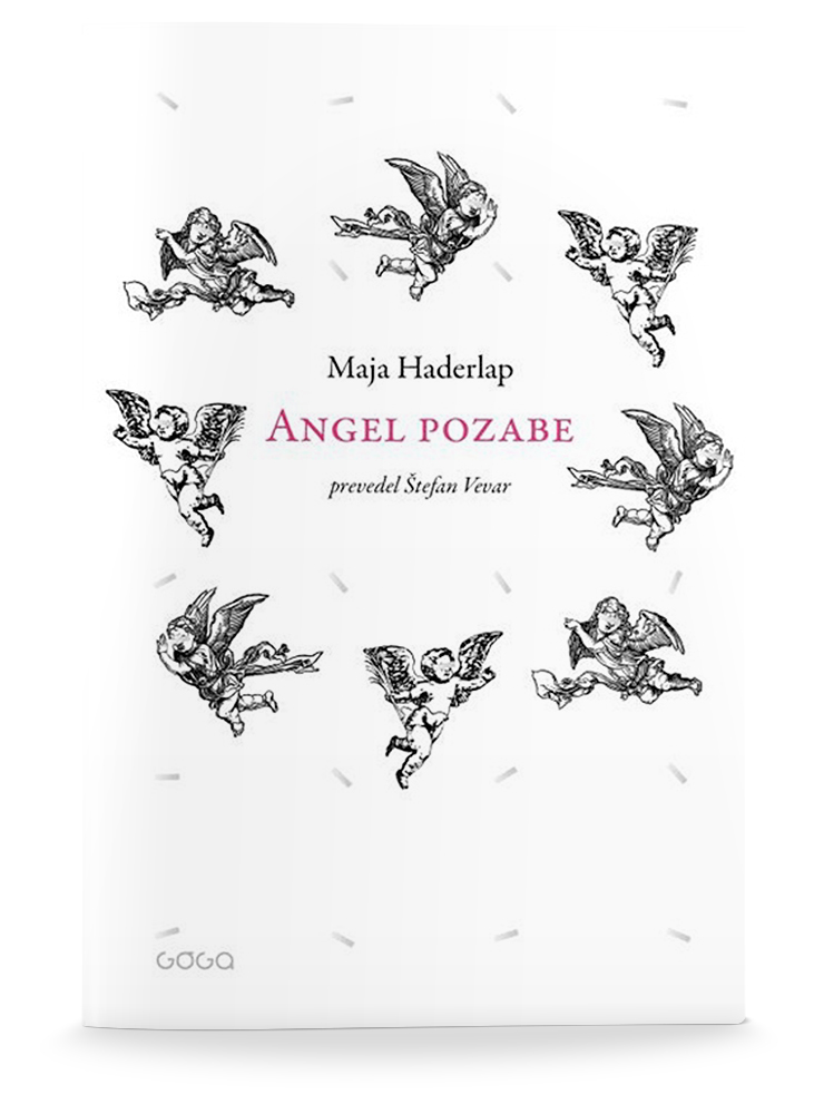 Maja Haderlap: ANGEL POZABE
